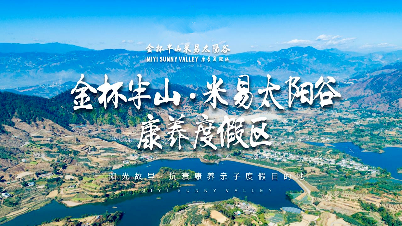 金杯