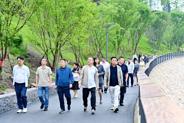 端午情牵嘉州，乡情汇聚同心——成都乐山商会共叙桑梓情